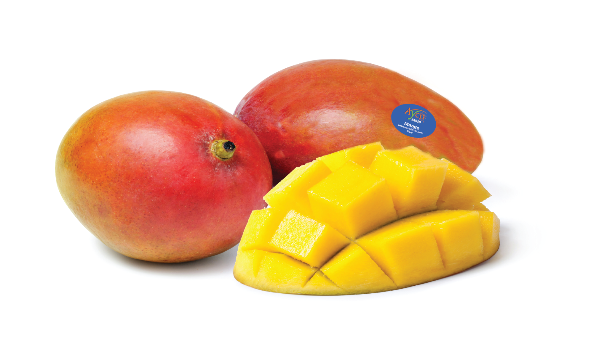 Mango Ayco Farms Our Farms Your Future