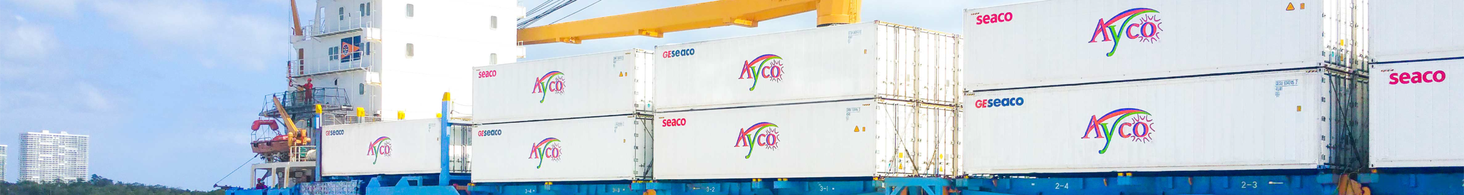 Ayco Contact Us